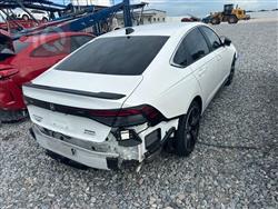 هۆندا ئەکۆرد